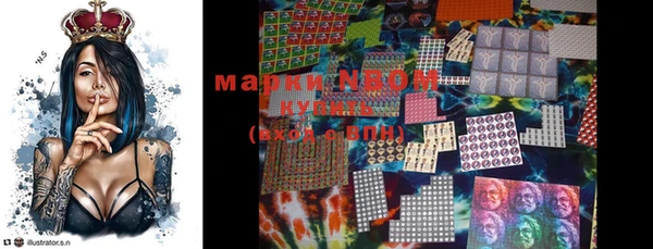 ГАЛЛЮЦИНОГЕННЫЕ ГРИБЫ Каменка