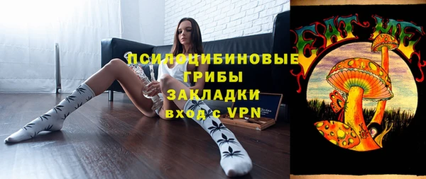 индика Каменск-Шахтинский